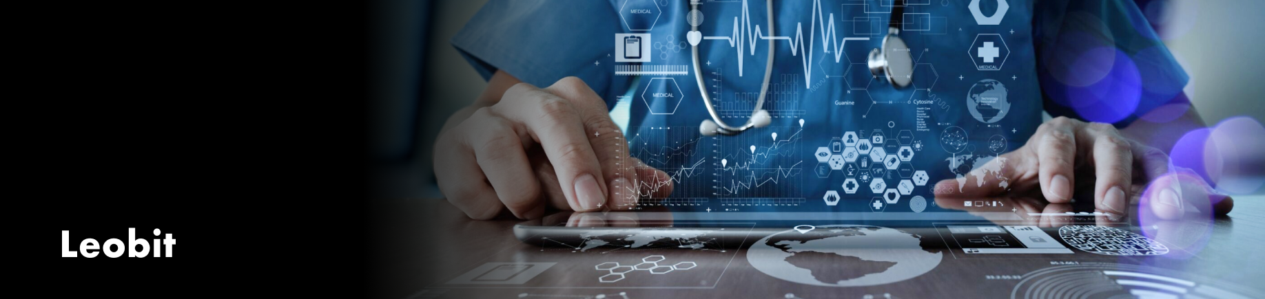 Medical Software Services in the USA