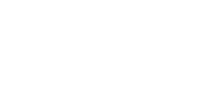 Sports Next logo
