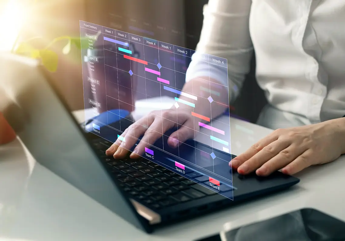 Project Management Services