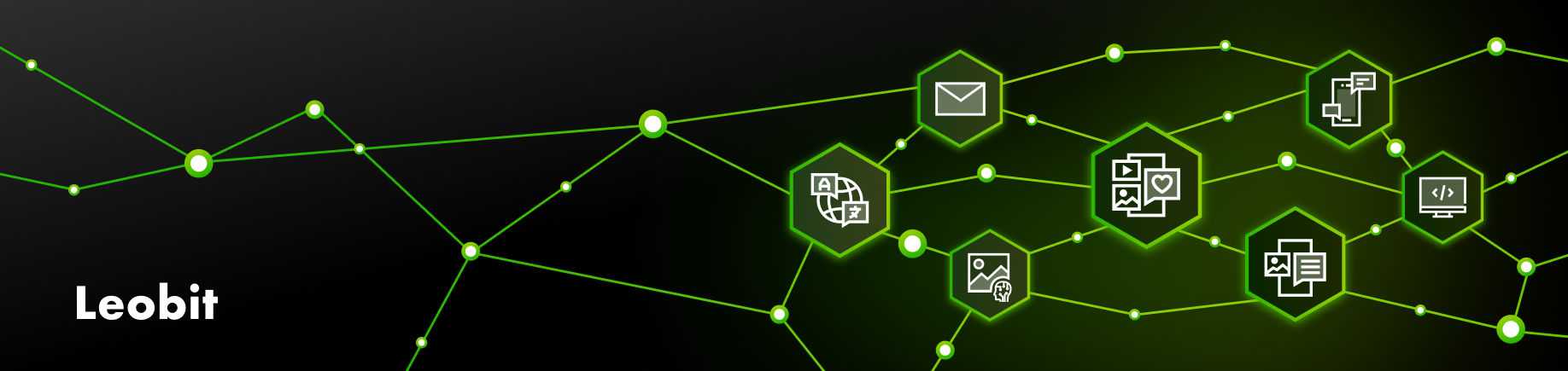 Developmet and leverage custom llm