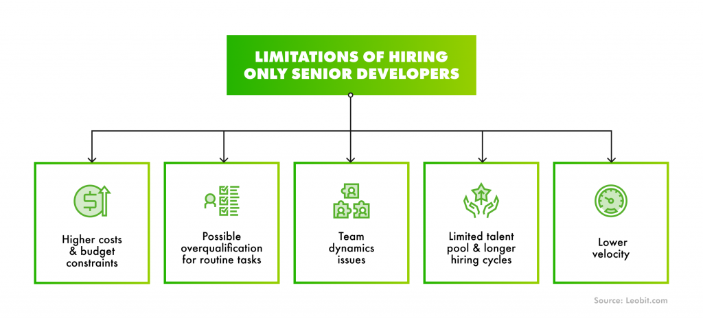 Limitations of hiring only senior developers