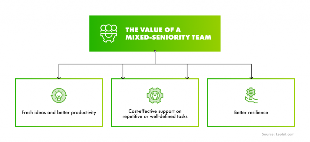 The value of a mixed-seniority team