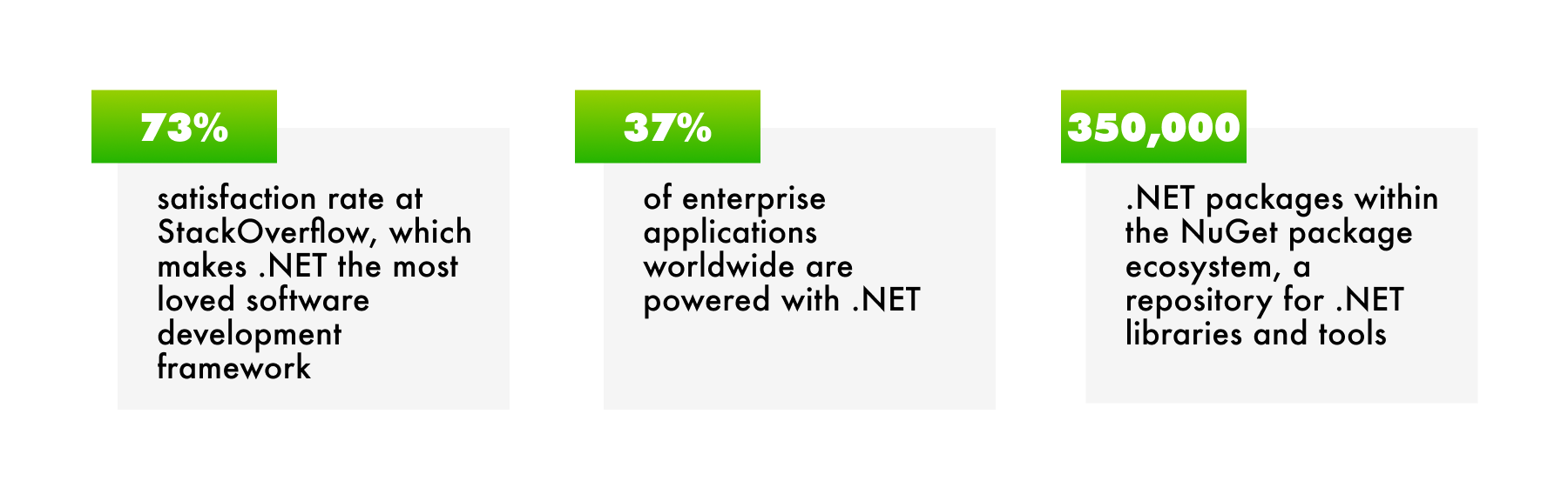 microsoft .net development services