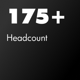 175+ headcount
